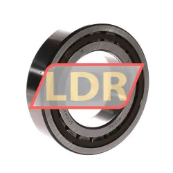 SKF NUP2215ECP rulman resim 2