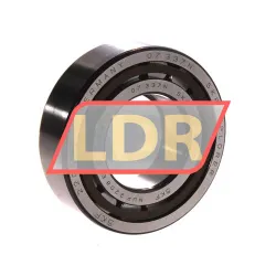 SKF NUP2208ECP
