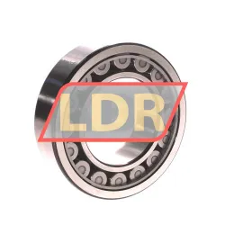 SKF NJ2212ECJ rulman resim 2