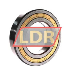 SKF NUP219ECM/C3VA301