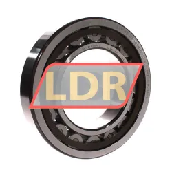 SKF NU221ECP/C3