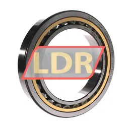SKF NU1028ML
