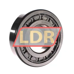 SKF NUP317ECJ