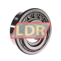 SKF NUP317ECJ rulman resim 2