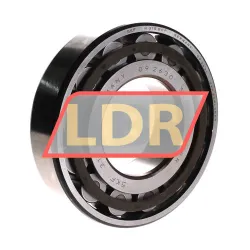 SKF N315ECP