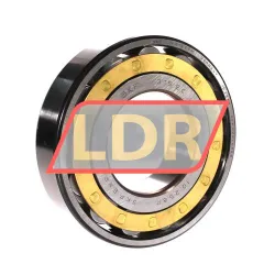 SKF N315ECM