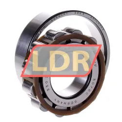 SKF N307ECP rulman resim 2