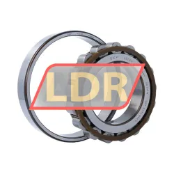 SKF N222ECP rulman resim 3