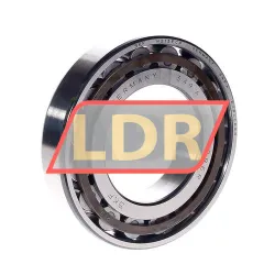 SKF N213ECP