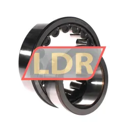SKF NJ2222ECJ/C3 rulman resim 2