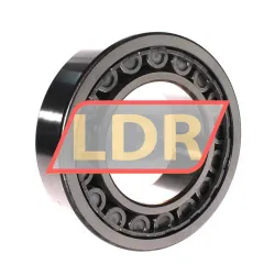 SKF NJ2222ECJ/C3 rulman resim 3