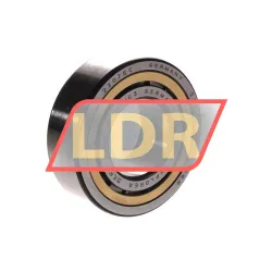 SKF NJ2207ECML/C3