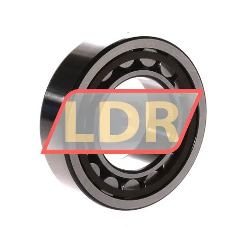 SKF NU2209ECP/C3 ürün fotoğrafı 2