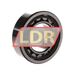 SKF NU2209ECP/C3 rulman resim 2