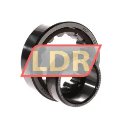 SKF NU2209ECP/C3 rulman resim 3