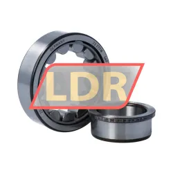 SKF NJ206ECJ/C3