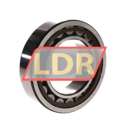 SKF NU313ECJ rulman resim 2