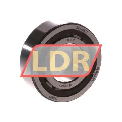 SKF BC1-0313