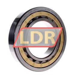 SKF NU224ECM/C3
