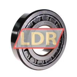 SKF NJ317ECJ