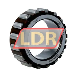 SKF RBC1-0697A