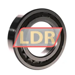 SKF NUP2216ECP/C4 rulman resim 2