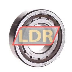 SKF NUP208ECP