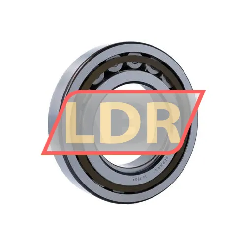 SKF NUP222ECP ürün fotoğrafı 2