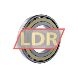 SKF N226ECM rulman resim 2
