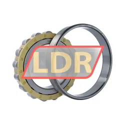 SKF N226ECM rulman resim 3