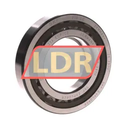 SKF NUP213ECP/C3