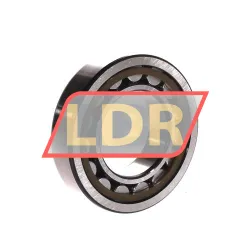 SKF NJ209ECP/C4 rulman resim 2