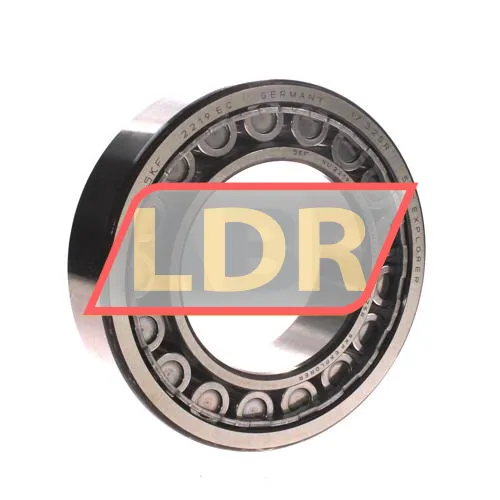 SKF NU2219ECJ