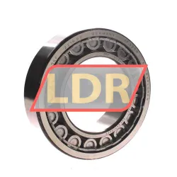 SKF NU2219ECJ