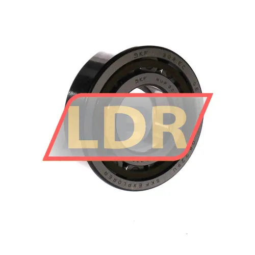 SKF NUP308ECP