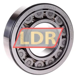 SKF NU311ECJ