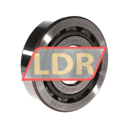 SKF NJ411