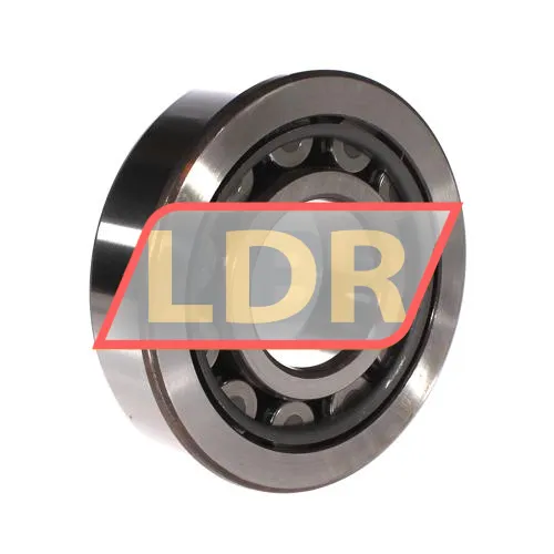 SKF NJ411 ürün fotoğrafı 2