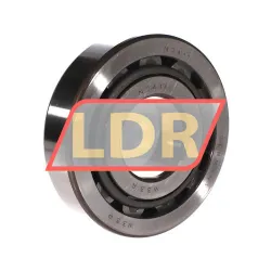 SKF NJ411