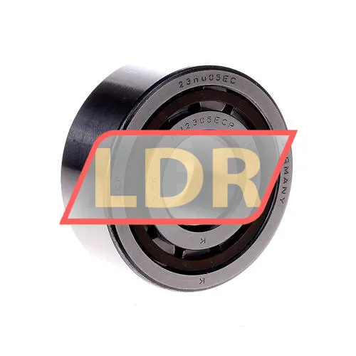 SKF NJ2305ECP