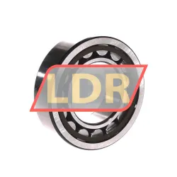 SKF NJ2209ECP/C3 rulman resim 2