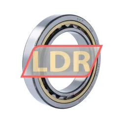 SKF NU1018ML/C3