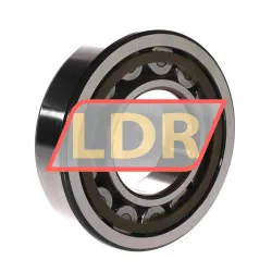 SKF NU313ECP/C4 rulman resim 2