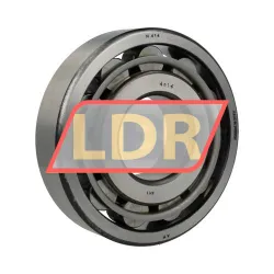 SKF N414/C4