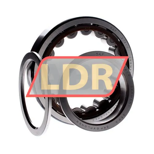 SKF NUP219ECP ürün fotoğrafı 2