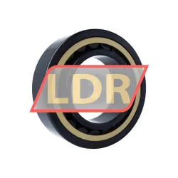 SKF NU2228ECML/L4BC3