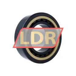 SKF NU2228ECML/L4BC3 rulman resim 2