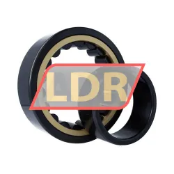 SKF NU2228ECML/L4BC3 rulman resim 3