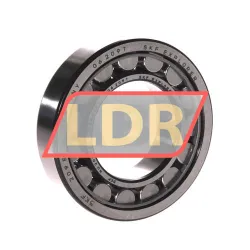 SKF NU209ECJ