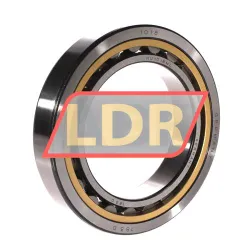 SKF NU1018ML